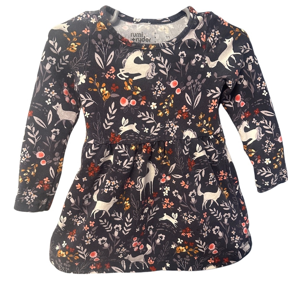 Rumi & Ryder stitch fix kids dress size 2T